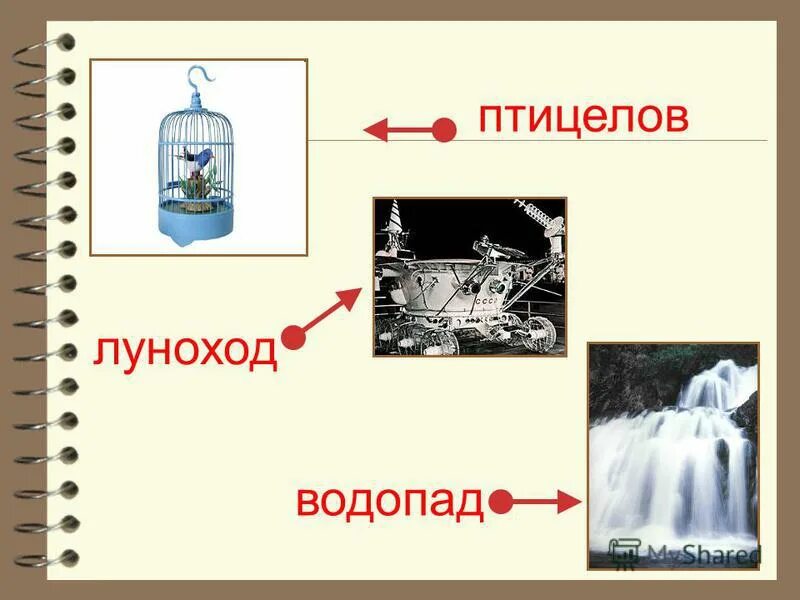 предложение со словом рыба, рыбак. птицелов сложное слово. сложные слова с корнем. слова с двумя корнями. птицелов сложное слово.
