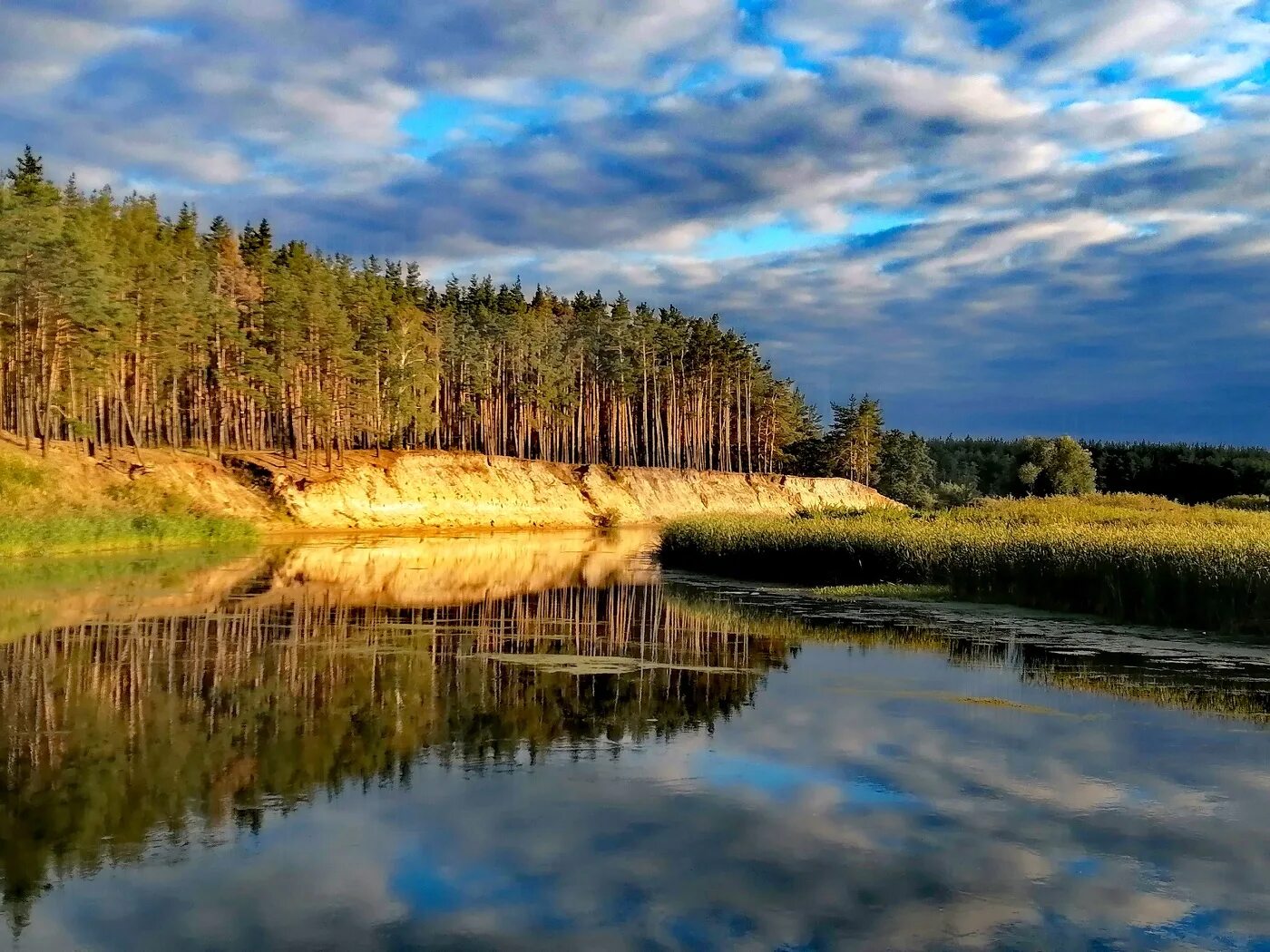 Погода карамышево псковская область