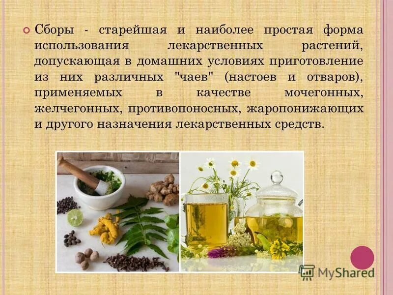 лекарственные травы. внутреннее употребление. классификация фиточаев. целебные травы. метод сбора информации.