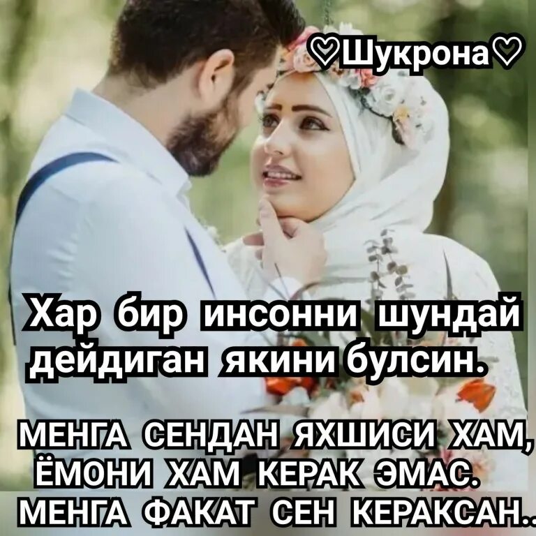 дилшода исмининг маъноси. тасирли шер. шукрона шукрона. Shukrona имя. фаришта имя.