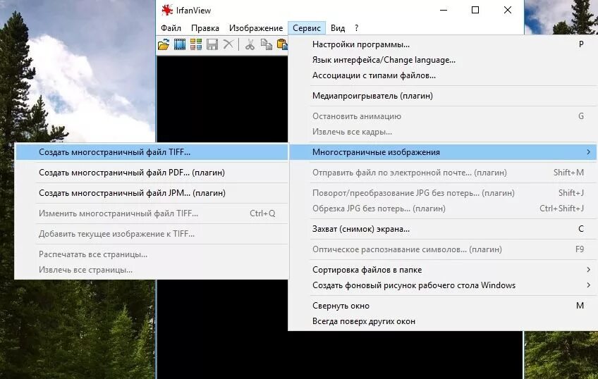 Сделать tiff. Многостраничный TIFF. Формат многостраничный TIFF. Как сделать многостраничный pdf. Фотография в формате TIFF.