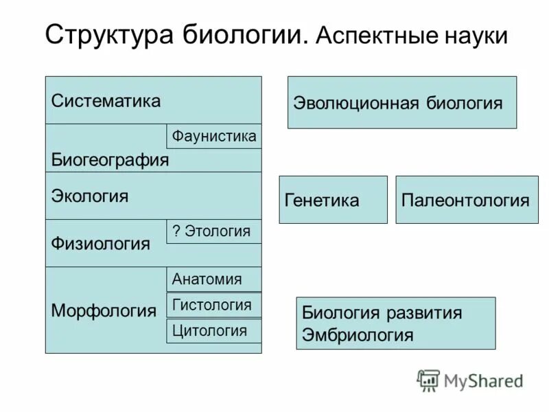 Структура биологии