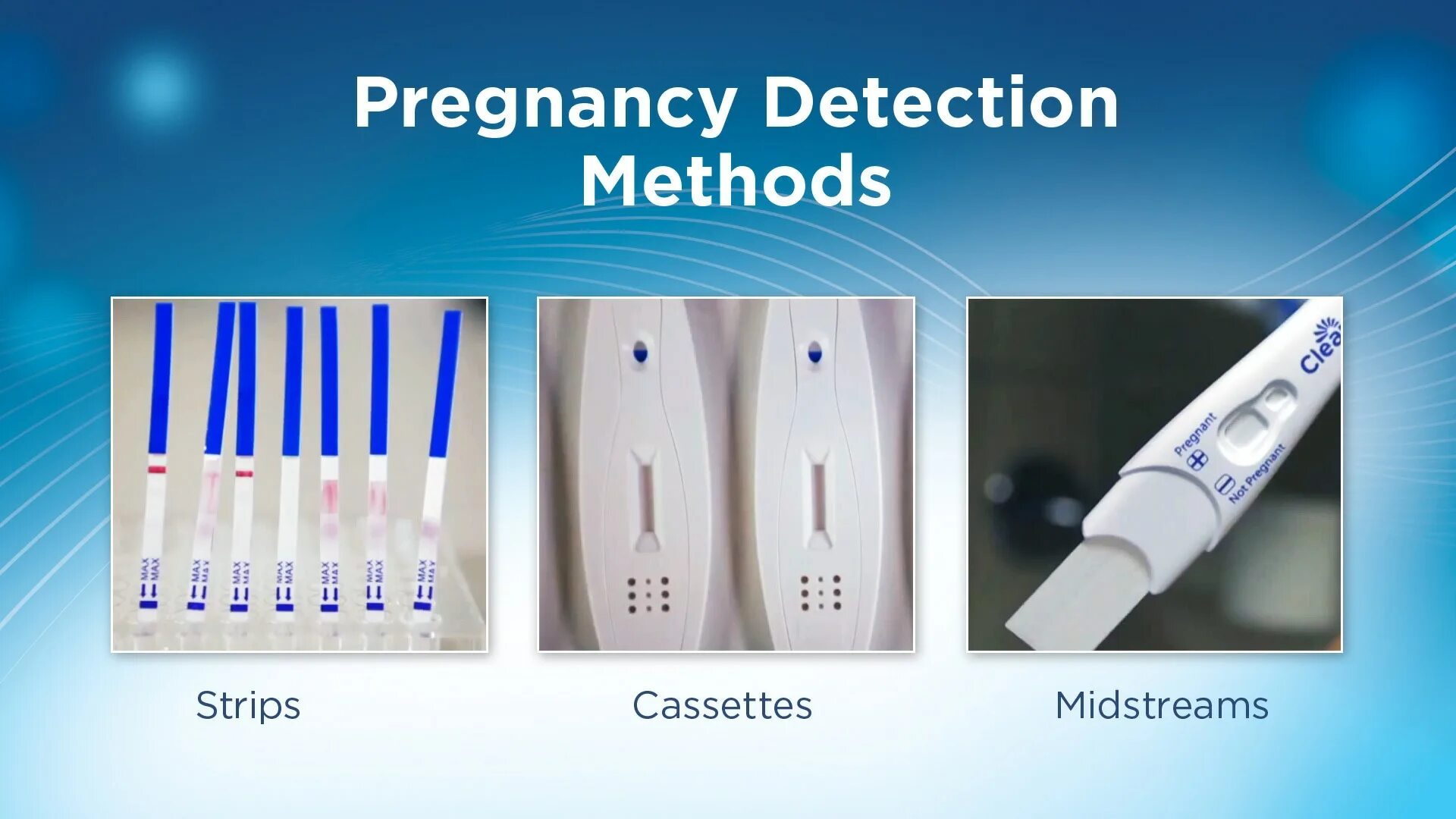 Разобранный электронный тест. Электронный тест клеарблю. Тест на беременность Clearblue разобранный. Разобранный отрицательный цифровой тест Clearblue. Разобранный тест Clearblue цифровой положительный.