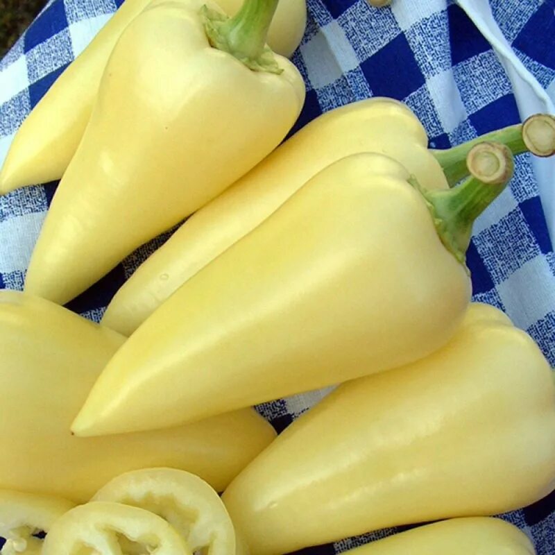 Сорт перца белозерка. Сорт перца белозерка. Белозерка перец сладкий красный. Белозерка перец сладкий характеристика и описание. Перец белозерка семена.