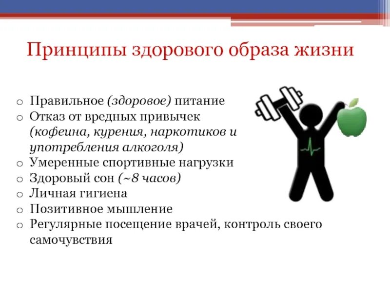 Принципы здорового образа жизни. Основные принципы ЗОЖ. Перечислите основные принципы здорового образа жизни. Принципы ЗОЖ кратко.