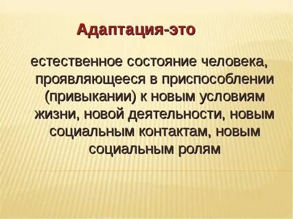 Определение и понятие адаптация