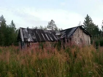 Родной городишко лоухи