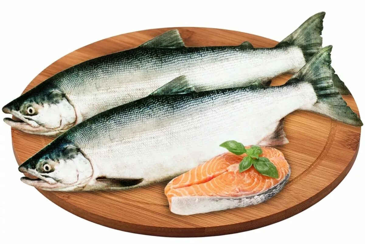 речные рыбы для детей. гороскоп какая ты рыба. окунь речной ультралайт. рыба в 1 5 года. речные и озерные рыбы.