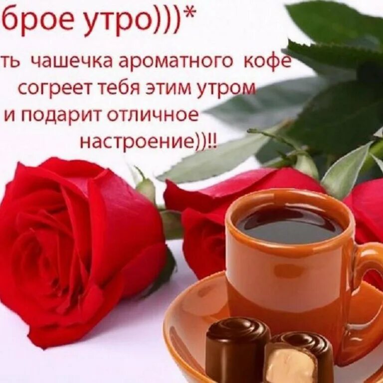 Пожелание доброго утра любимой девушке. Красивые пожелания с добрым утром. Открытки с добрым утром со стихами. Стих с добрым утром девочки. С добрым утром любимая красивое пожелание.