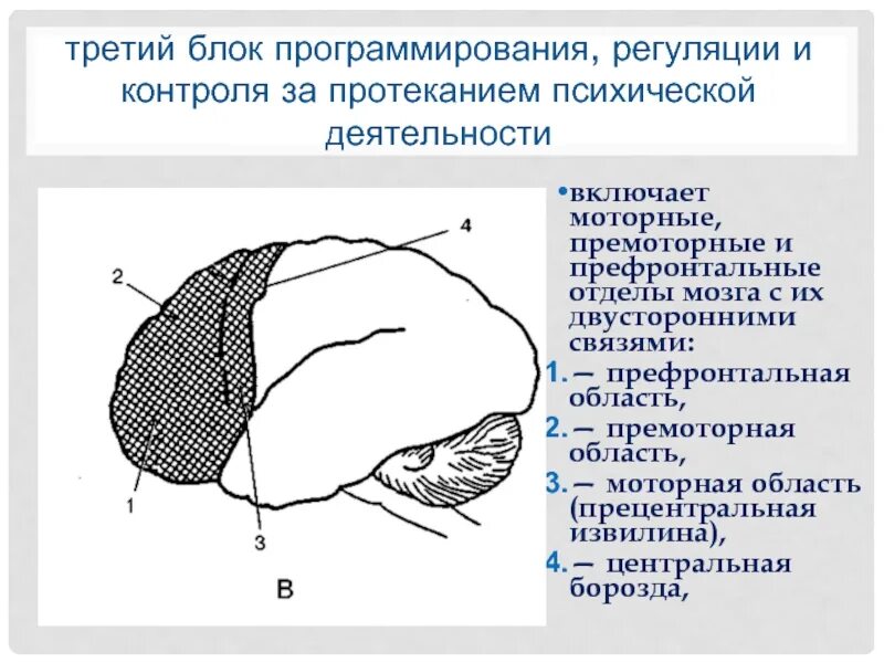 Функции 3 блока