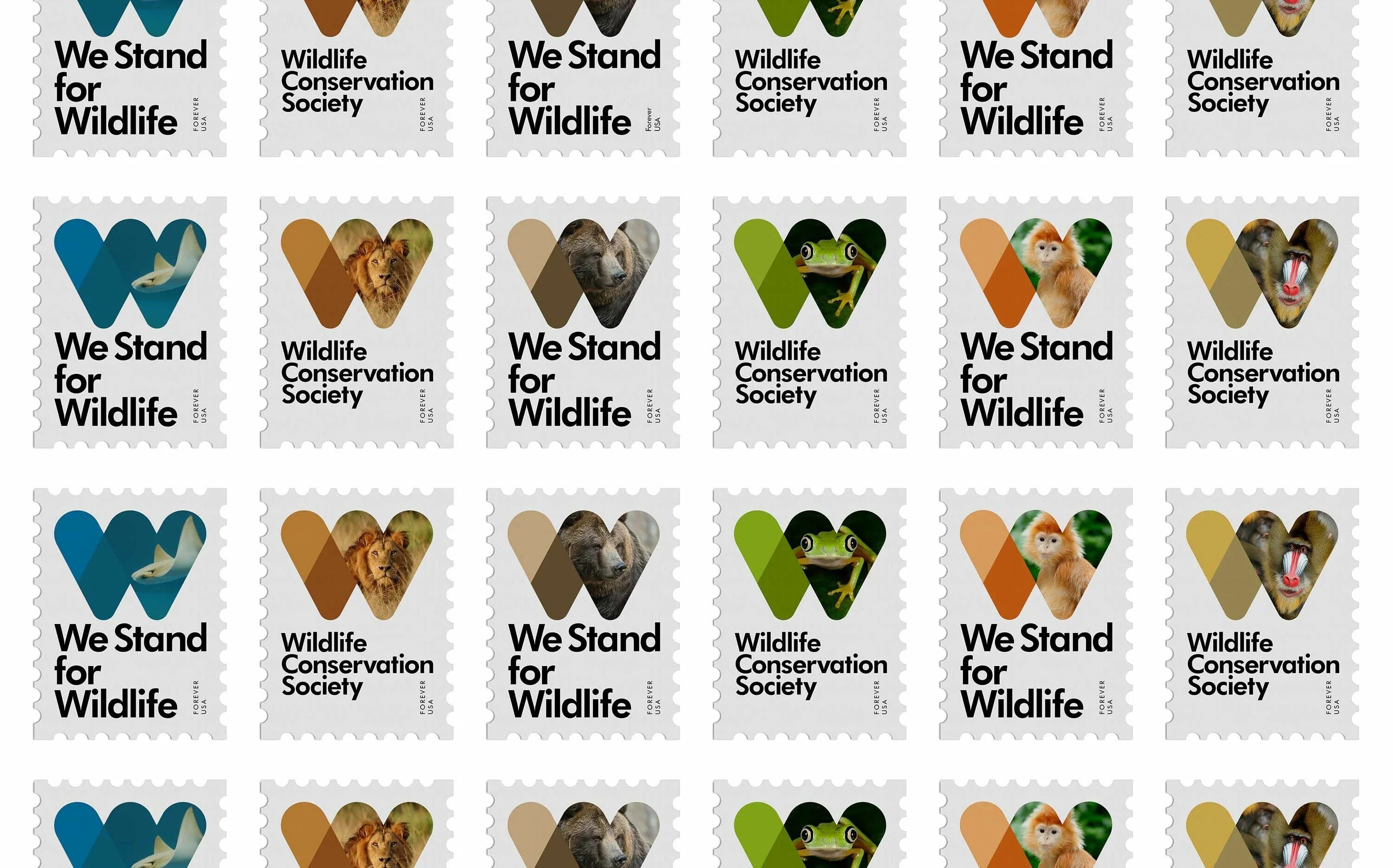 Wildlife conservation. Wildlife Society. Wildlife Conservation Organizations. Wildlife Conservation Society Listening answers.