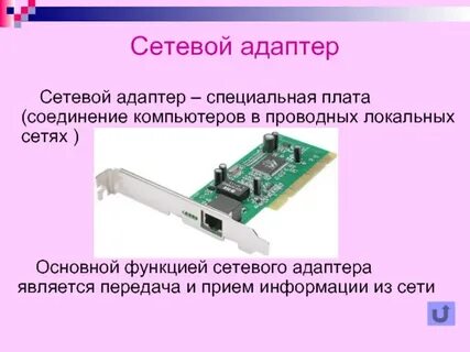 Сетевое устройство сетевой адаптер