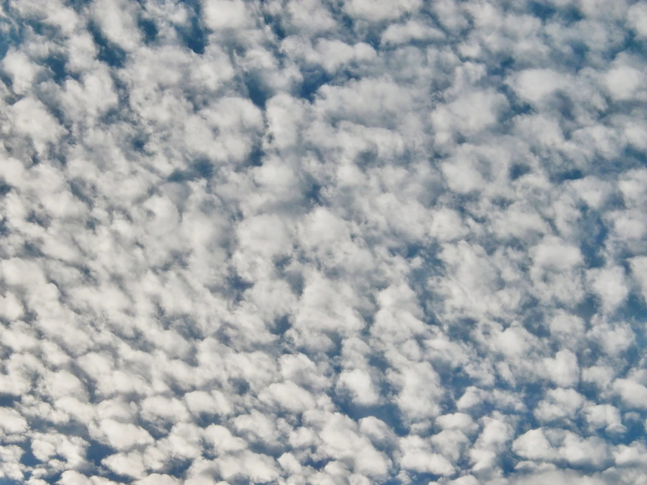 Mos clouds. Перисто Кучевые. Перестокучевое облоко. Перисто Кучевые облака облака. Перисто-Кучевые (cirrocumulus, cc).