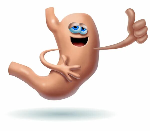 довольный желудок. радостный желудок. желудок мультяшный. довольный желудок. веселый желудок.