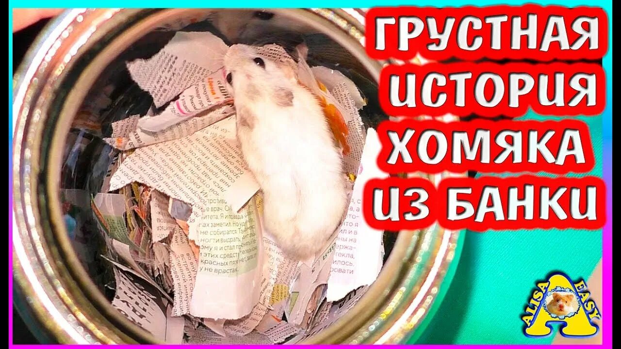 Спаси хомячка. Жадный хомяк. Хомячки живучие хомячки. Тюрьма для хомячка.