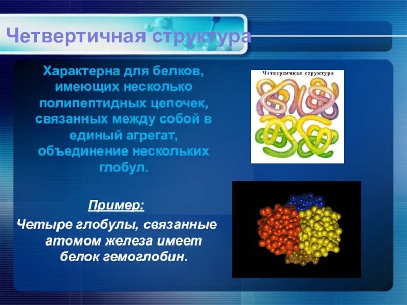 4 белки их строение и функции. Четвертичная структура характерна для. четвертичная структура белка. белки четвертичной структуры примеры. четвертичная структура белка характерна для.