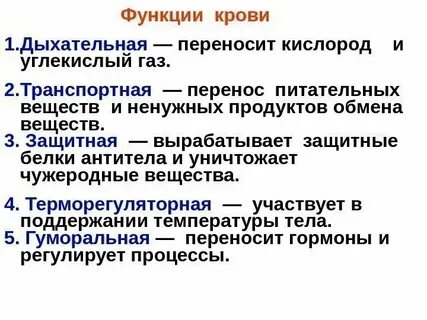 Транспортная защитная функция
