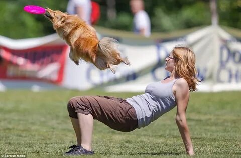 Catch dog