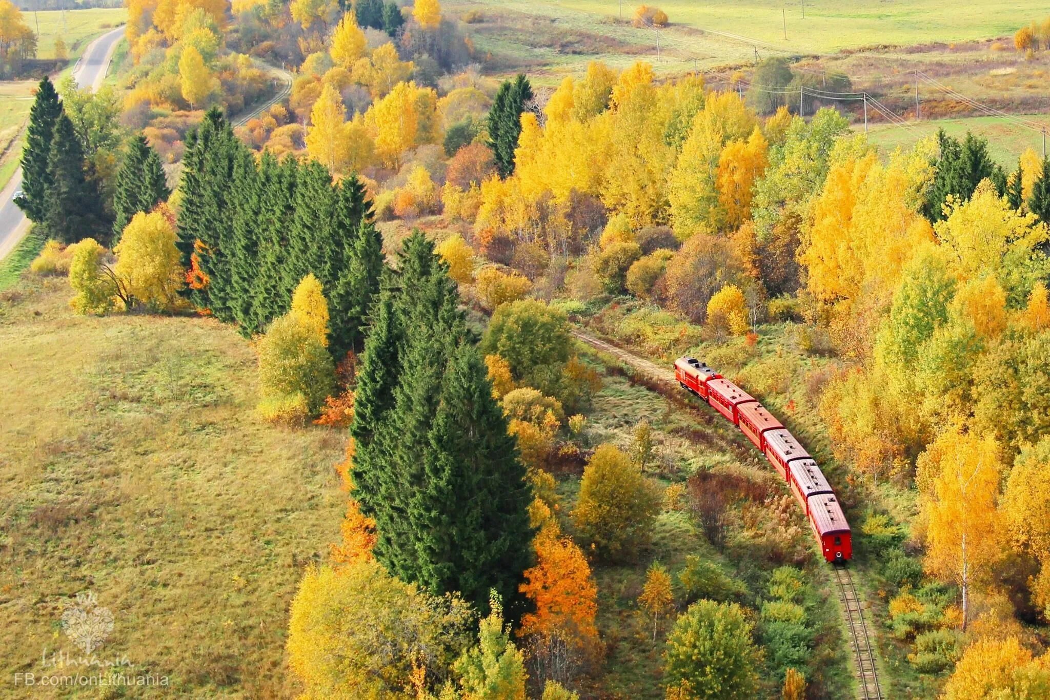 Золотая осень в Сигулде. Кентукки железная дорога. Паровоз КБЖД. Железная дорога осень.