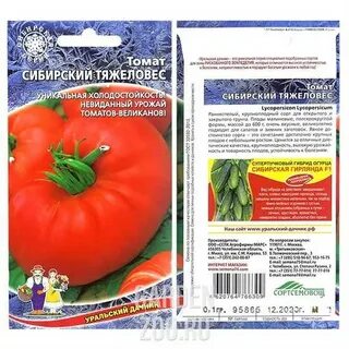 Тяжеловес сибири томат описание отзывы и фото