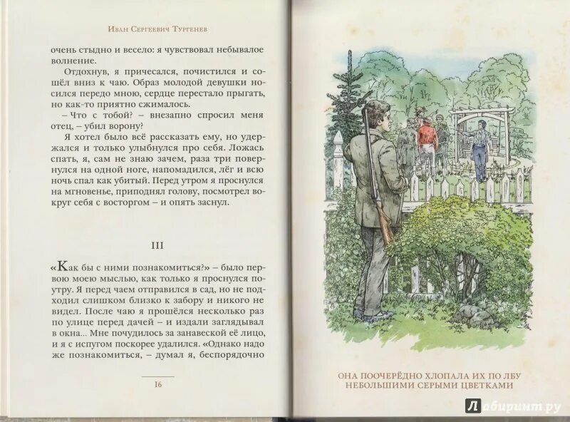 Чему учит повесть первая любовь. Тургенев и. "первая любовь". Тургенев первая любовь книга. Первая любовь Тургенев иллюстрации к книге. Тургенев первая любовь иллюстрации.