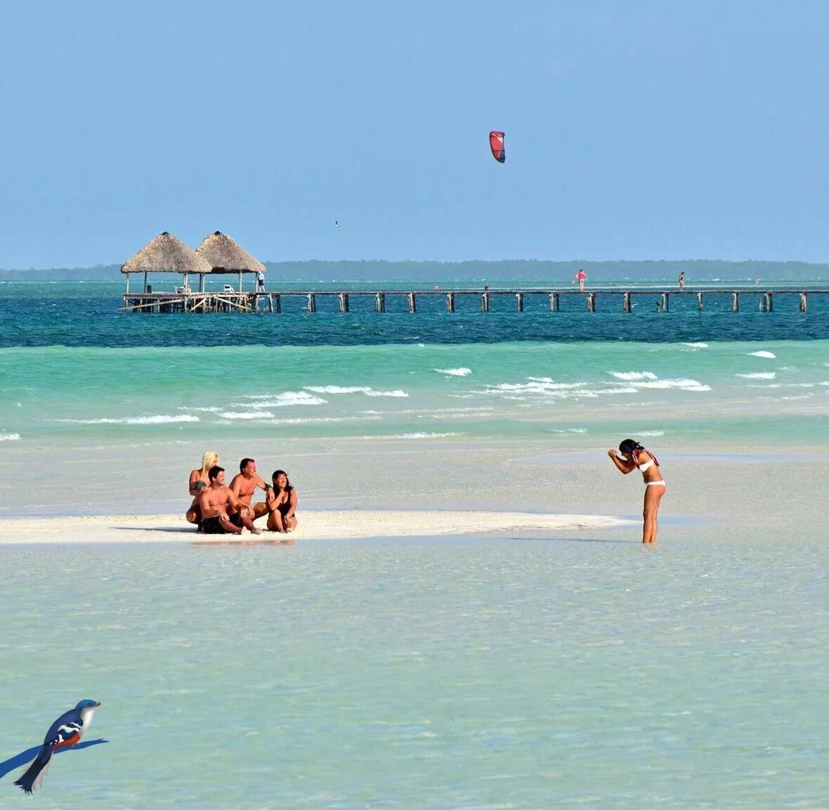 Когда лучше отдыхать на кубе по месяцам. Куба Варадеро. Кайо Коко. Varadero Куба. Пляж Варадеро на Кубе.