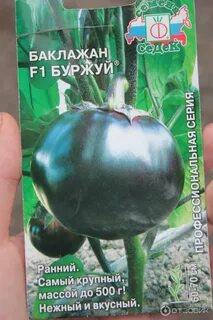 Баклажан буржуй
