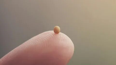 Small but