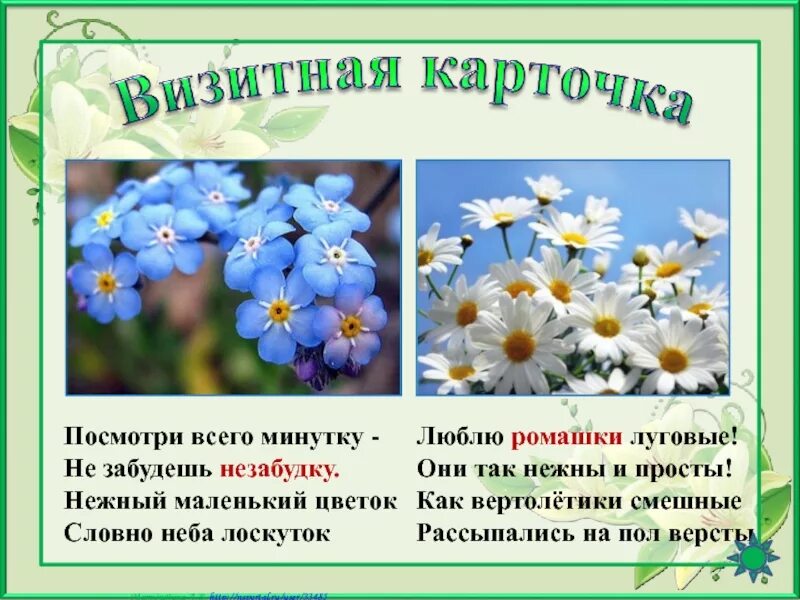 Незабудка рассказ. Стихи про незабудки. Цветок цветы стих. Стихи о цветах. Стих про незабудку цветок.