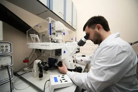 Институт биологических систем