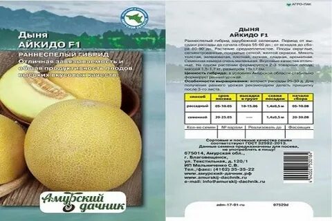 Описание характеристик дынь