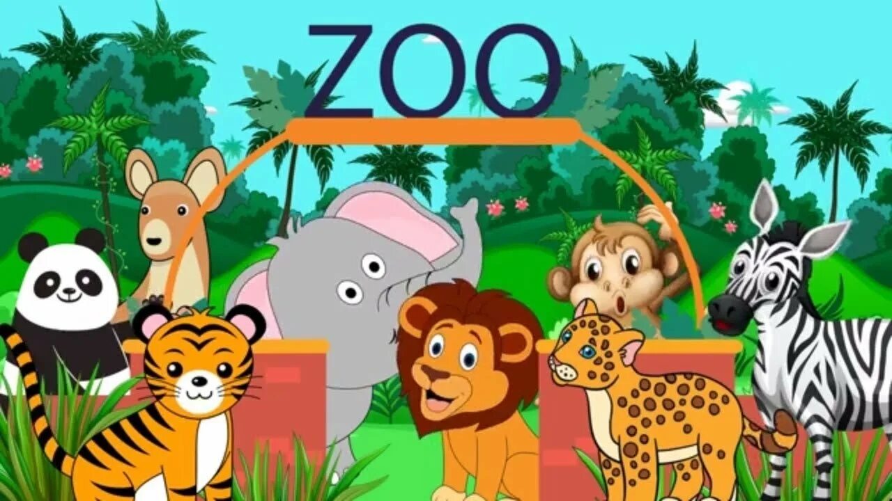 Zoo animals videos