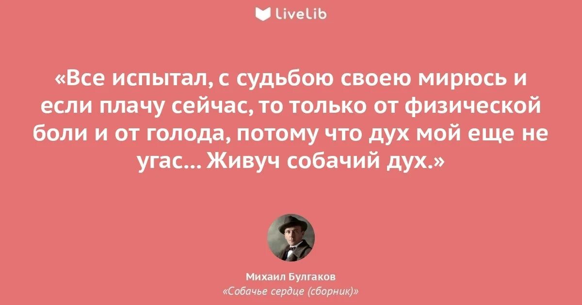 Собачье сердце не читайте советских. Собачье сердце цитаты из книги. цитаты из собачьего сердца. цитаты собачье сердце булгакова.