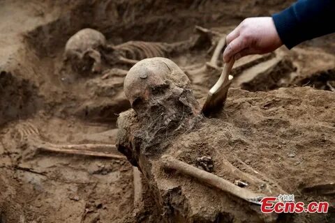 Археологи нашли кости