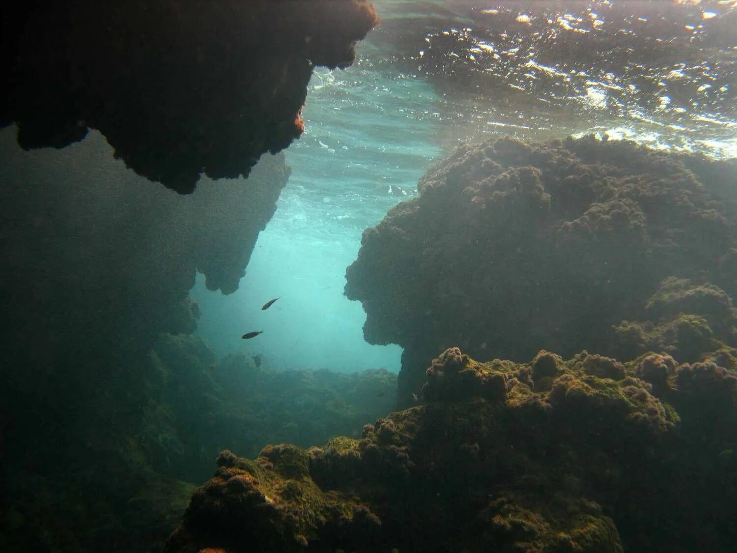 сероводородный чёрное море. дно черного моря сероводород. сенот ангелита мексика. морское дно. сероводород на дне черного моря.