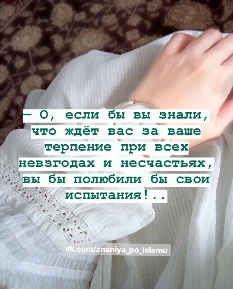 Не испытывайте мое терпение майер. Если бы вы знали что вас ждет за ваше терпение вы. если бы вы знали что ждёт вас за ваше терпение вы полюбили. если бы вы знали что ждет за ваше терпение. вы бы полюбили свои испытания.