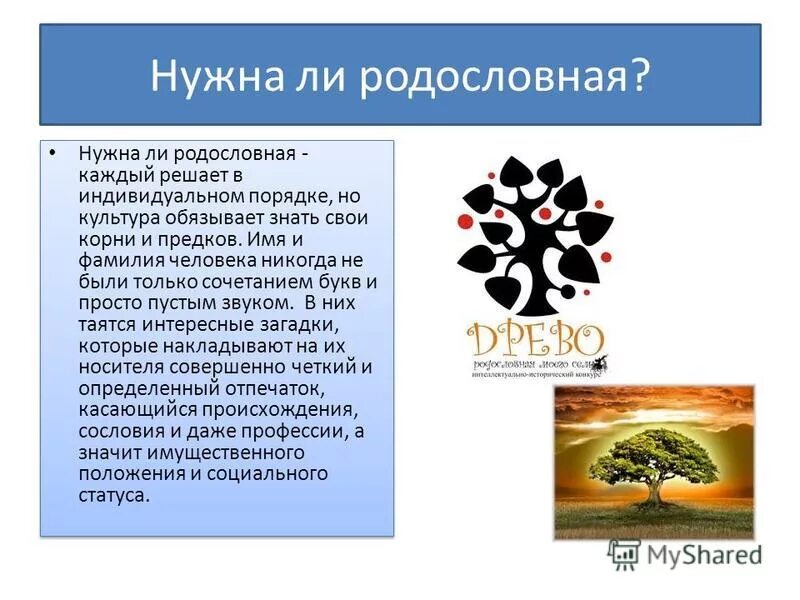 Цитаты о родословной и корнях. Как составить родословную семьи образец. Знать историю своей семьи. Проект про родословную. Задание по окружающему миру 2 класс родословное дерево.