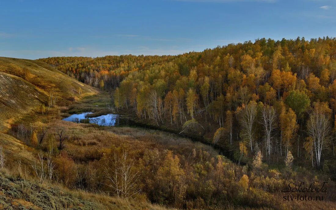 Берег драверта