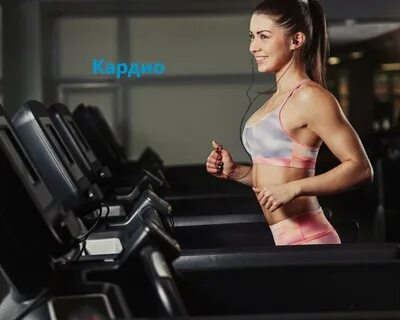 Верните спортзал