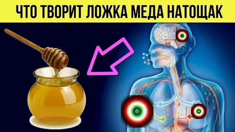 Чайная ложка меда натощак