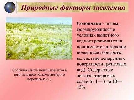 Характерно недостаточное увлажнение