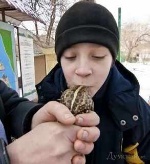 Как надуть лягушку через соломинку