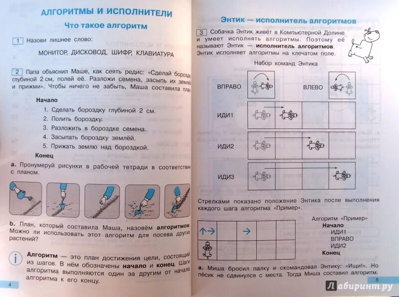 Информатика 2 класс учебник. Алгоритм 2 класс. Энтик Информатика. Энтик алгоритм. Информатика 2 класс 2 часть паутова