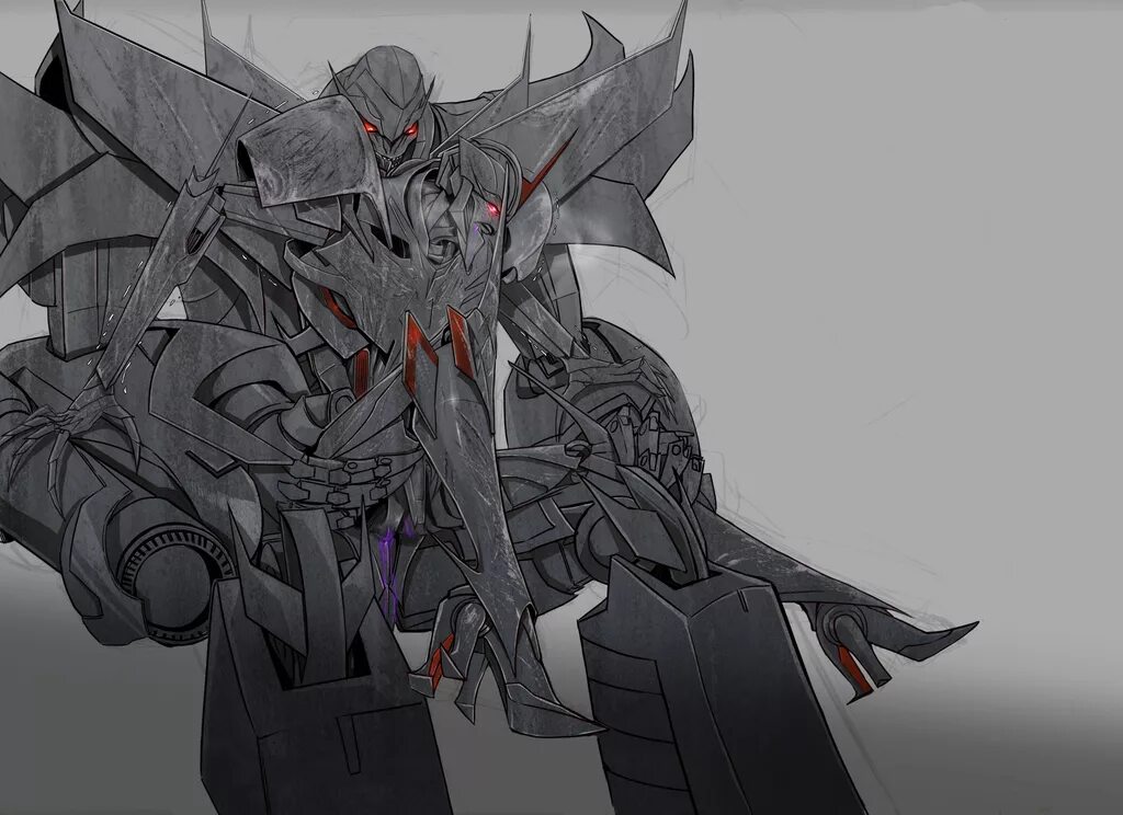 Megatron reader