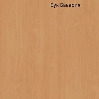 Цвет бук
