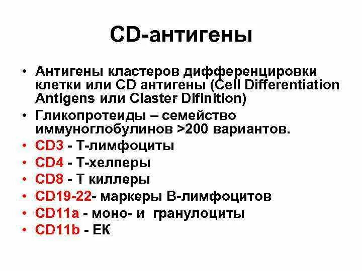 Cd3 т лимфоциты