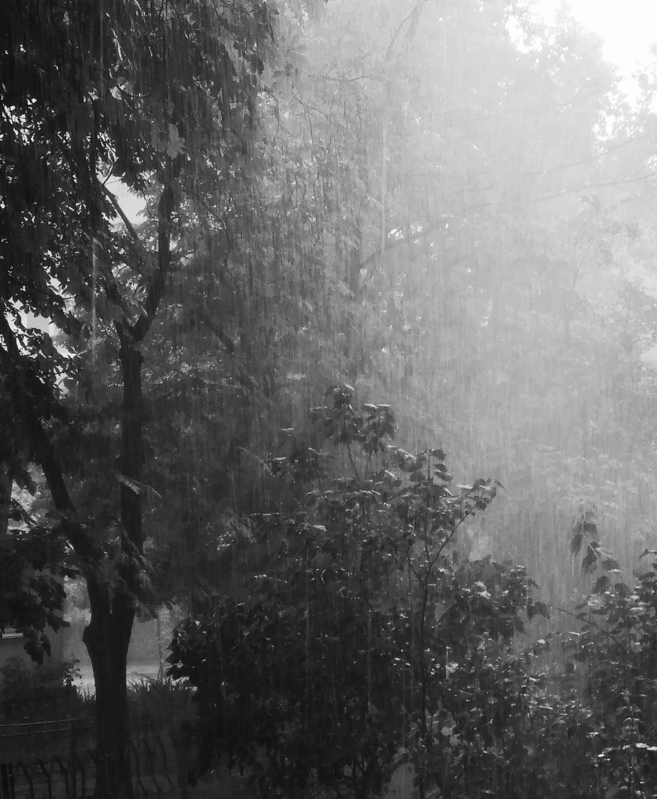 На пороге дождь. Выразительные монотонные фото.