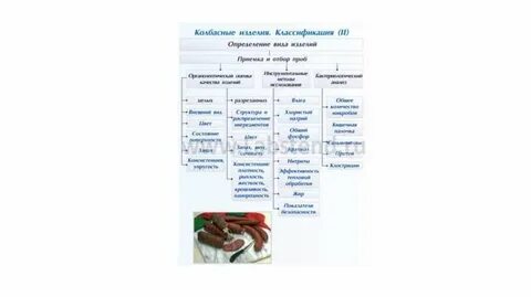 Как классифицируют колбасные изделия