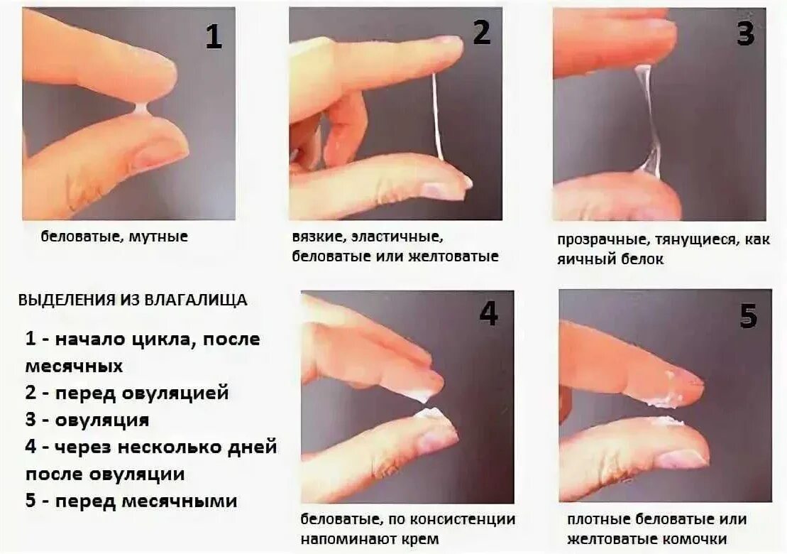 Почему перед месячными бывает. Как понять что у женщины овуляция. как узнать овуляцию по выделениям. выделения при овуляции. выделения перед месячными.