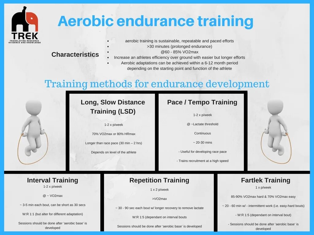 Training перевод. Training перевод. Тренер в спортзале. Training перевод. Gym training программа.